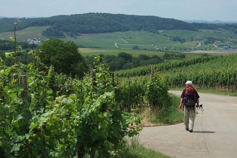 3-3-09 Weinberge vor Perl.JPG - So gehen wir nach schlappen 18 Kilometern noch einigermaßen munter dem Tages(Etappen)-Ziel entgegen